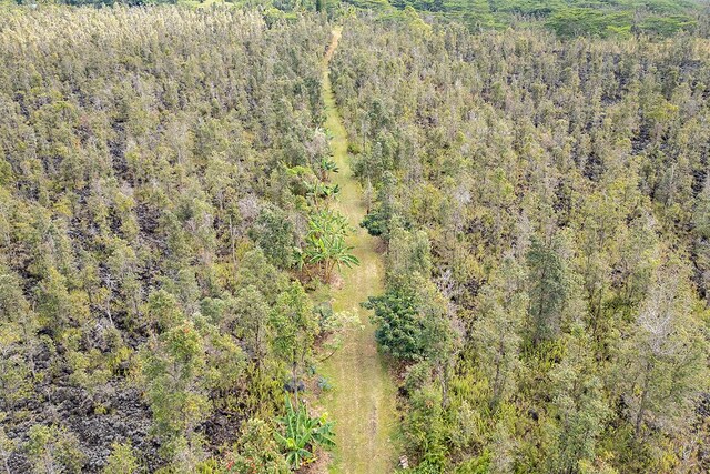 13-1037 Kamaili Rd, Pahoa, HI 96778 - photo 16