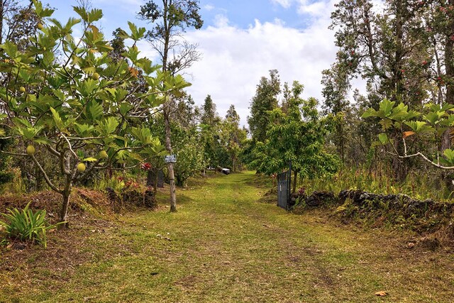 13-1037 Kamaili Rd, Pahoa, HI 96778 - photo 21