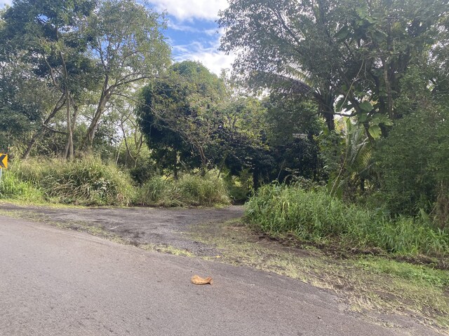 13-1037 Kamaili Rd, Pahoa, HI 96778 - photo 17