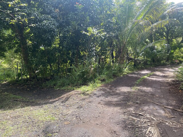 13-1037 Kamaili Rd, Pahoa, HI 96778 - photo 18