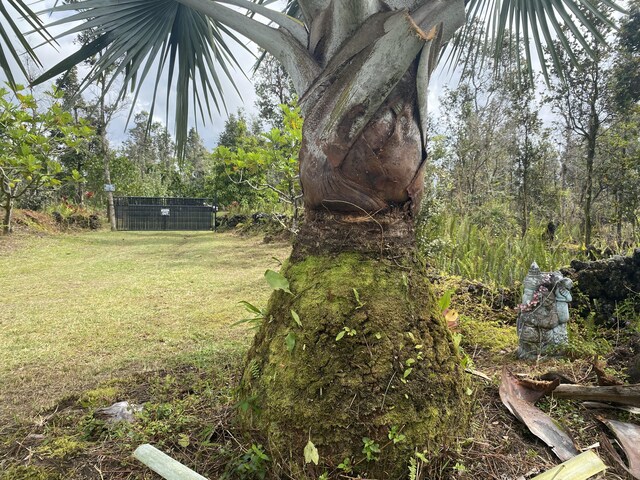 13-1037 Kamaili Rd, Pahoa, HI 96778 - photo 20