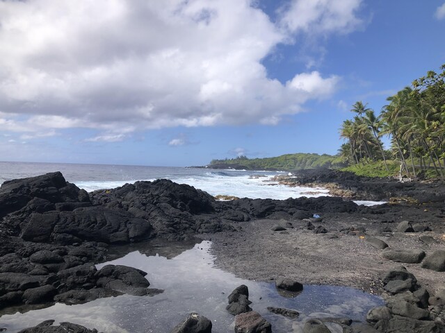 13-1037 Kamaili Rd, Pahoa, HI 96778 - photo 23