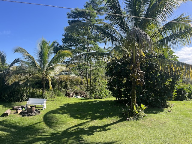 15-1843 11th Ave, Keaau, HI 96749 - view of green lawn
