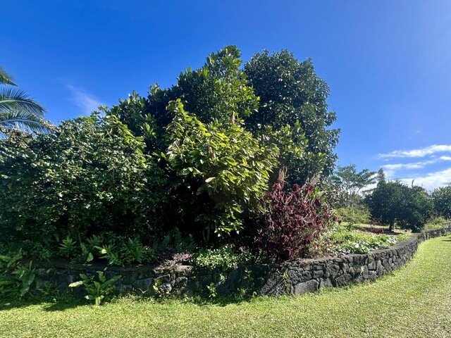 15-1843 11th Ave, Keaau, HI 96749 - view of yard