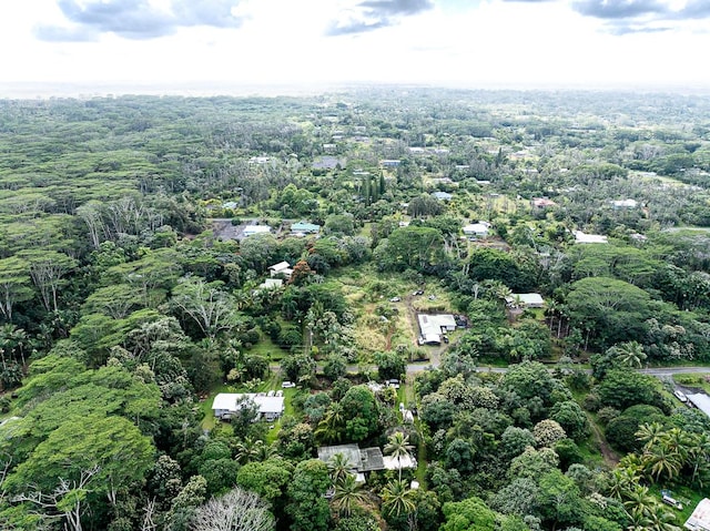 15-2060 12th Ave, Keaau, HI 96749