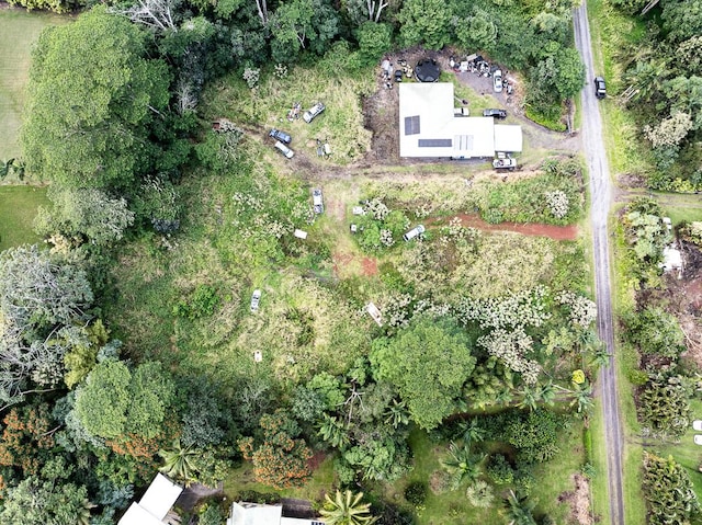 15-2060 12th Ave, Keaau, HI 96749