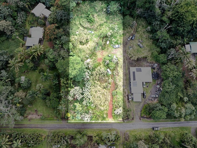 15-2060 12th Ave, Keaau, HI 96749