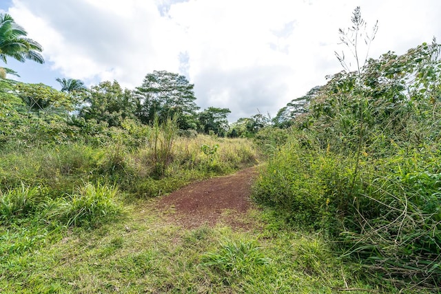 15-2060 12th Ave, Keaau, HI 96749