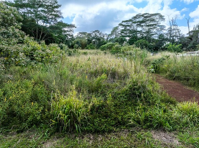 15-2060 12th Ave, Keaau, HI 96749