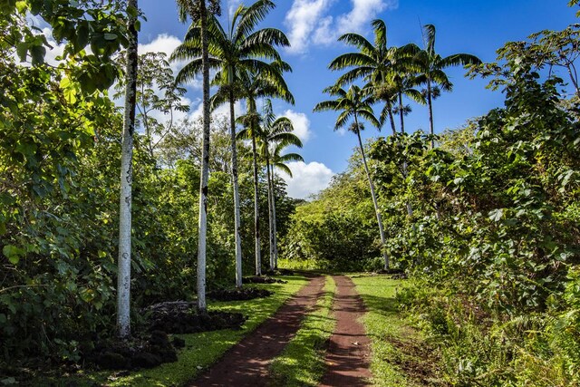 14-3945 Government Beach Rd, Pahoa, HI 96778 - photo 14