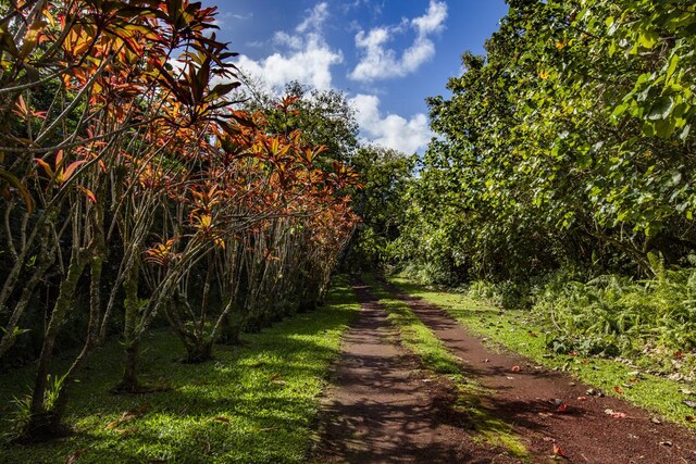 14-3945 Government Beach Rd, Pahoa, HI 96778 - photo 15