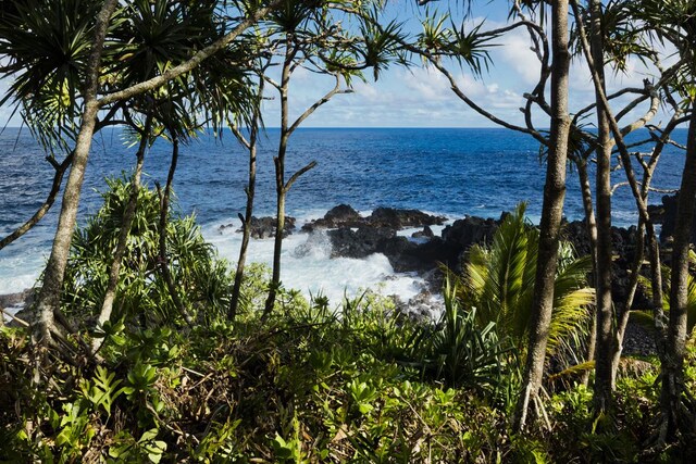 14-3945 Government Beach Rd, Pahoa, HI 96778 - photo 23