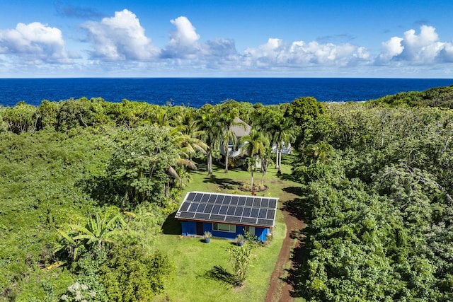 14-3945 Government Beach Rd, Pahoa, HI 96778 - photo 30