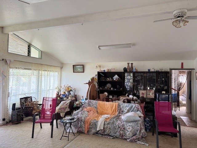 15-2046 22nd Ave, Keaau, HI 96749 - carpeted living area featuring a ceiling fan