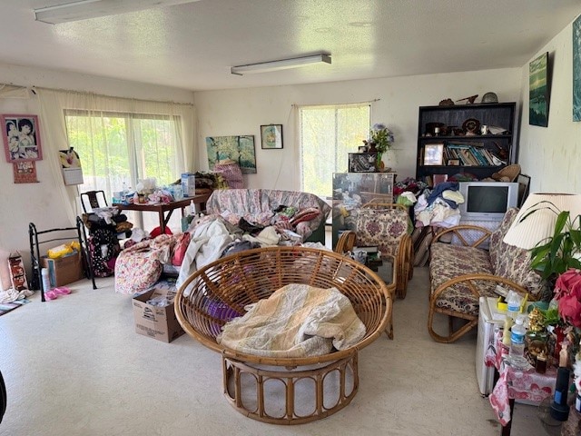 15-2046 22nd Ave, Keaau, HI 96749 - living room with carpet flooring and a textured ceiling