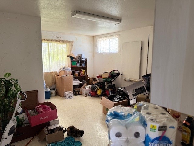 15-2046 22nd Ave, Keaau, HI 96749 - below grade area featuring a textured ceiling
