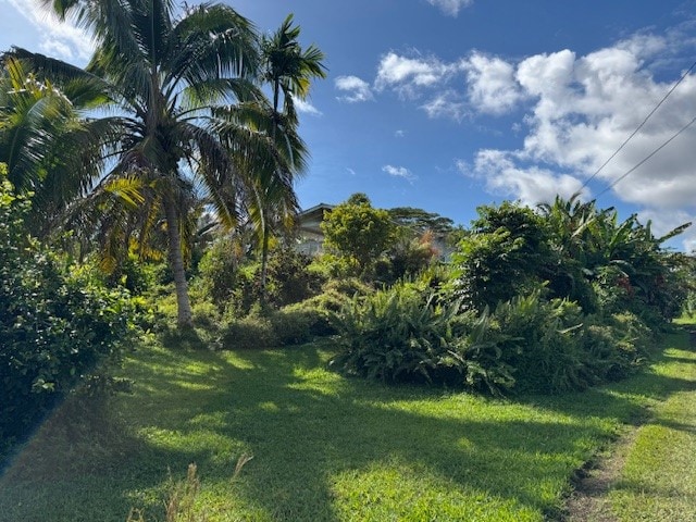 15-2046 22nd Ave, Keaau, HI 96749 - view of green lawn