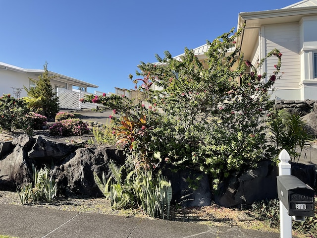 378 Kahikini St, Hilo, HI 96720 - photo 23