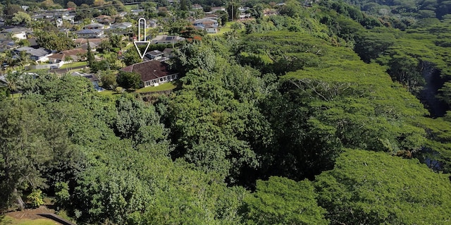 5841 Haaheo St, Kapaa, HI 96746 - aerial overview of property's location with a forest