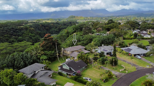5841 Haaheo St, Kapaa, HI 96746 - aerial view of residential area featuring a heavily wooded area and mountains