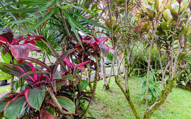 360 Kauila St Unit 201, Hilo, HI 96720 - exterior view