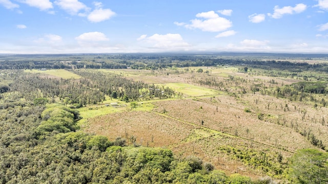 18-3780 Pszyk Rd, Mountain View, HI 96771 - photo 12