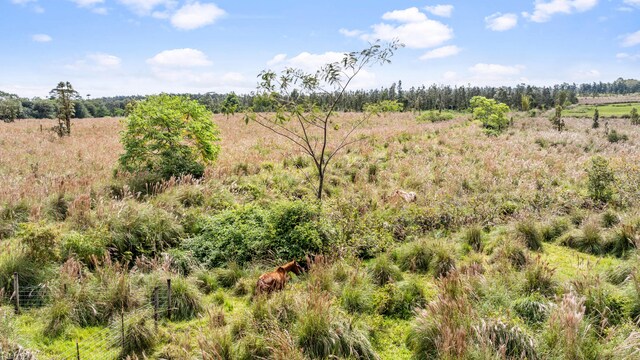 18-3780 Pszyk Rd, Mountain View, HI 96771 - photo 4