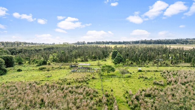 18-3780 Pszyk Rd, Mountain View, HI 96771 - photo 9