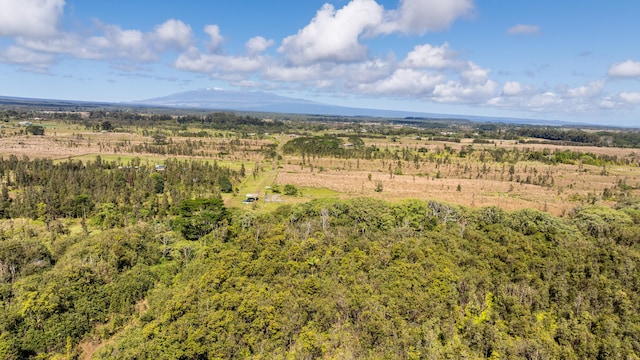 18-3780 Pszyk Rd, Mountain View, HI 96771 - photo 17