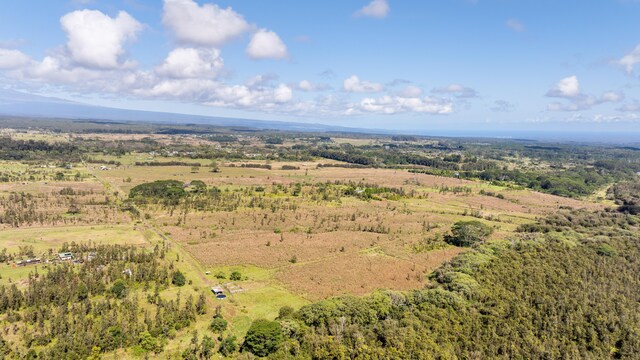 18-3780 Pszyk Rd, Mountain View, HI 96771 - photo 19