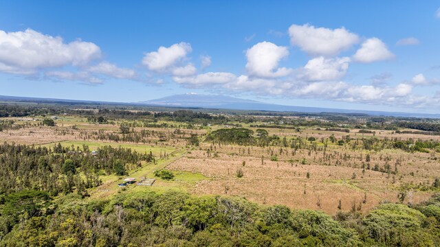 18-3780 Pszyk Rd, Mountain View, HI 96771 - photo 20