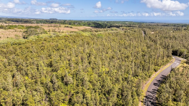 18-3780 Pszyk Rd, Mountain View, HI 96771 - photo 21