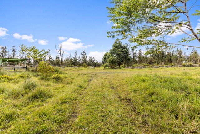 18-3780 Pszyk Rd, Mountain View, HI 96771 - photo 24