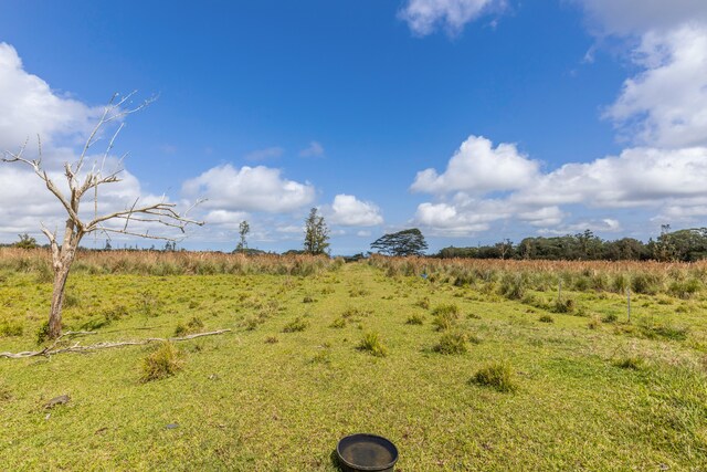 18-3780 Pszyk Rd, Mountain View, HI 96771 - photo 26