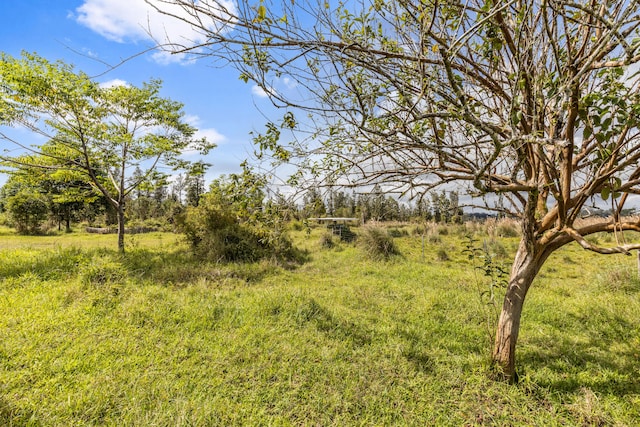 18-3780 Pszyk Rd, Mountain View, HI 96771 - photo 27