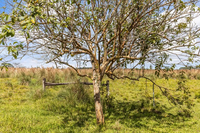 18-3780 Pszyk Rd, Mountain View, HI 96771 - photo 28