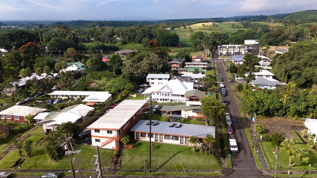 307 Lehua St Unit 22, Hilo, HI 96720 - bird's eye view of a heavily wooded area
