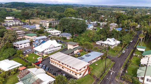 307 Lehua St Unit 22, Hilo, HI 96720 - bird's eye view of a heavily wooded area