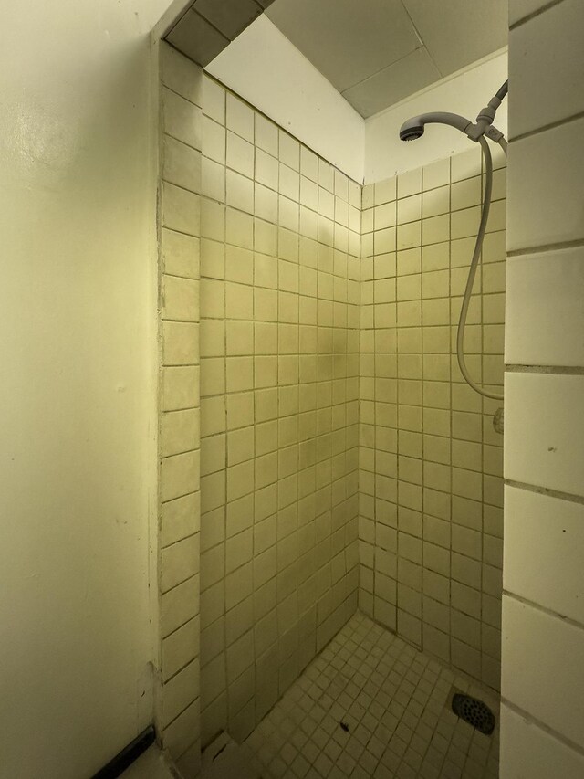 75-156 Lunapule Rd, Kailua-Kona, HI 96740 - bathroom with a stall shower