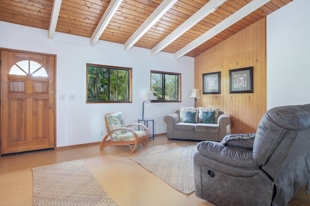 13-3638 Kumakahi St, Pahoa, HI 96778 - living room featuring wooden ceiling, concrete floors, wooden walls, and baseboards