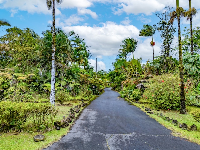 13-3638 Kumakahi St, Pahoa, HI 96778 - view of street