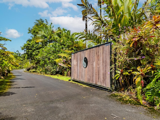 13-3638 Kumakahi St, Pahoa, HI 96778 - view of asphalt road