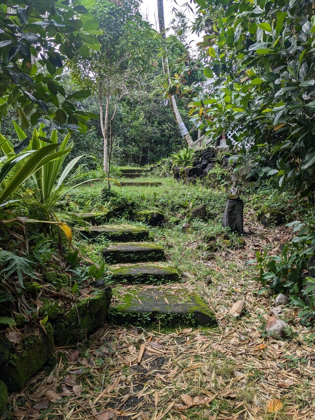 12-1114 Kaimu Makena Homestead Rd, Pahoa, HI 96778 - view of nature