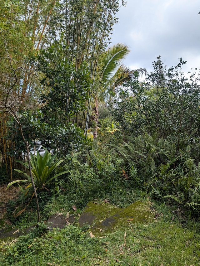 12-1114 Kaimu Makena Homestead Rd, Pahoa, HI 96778 - view of local wilderness