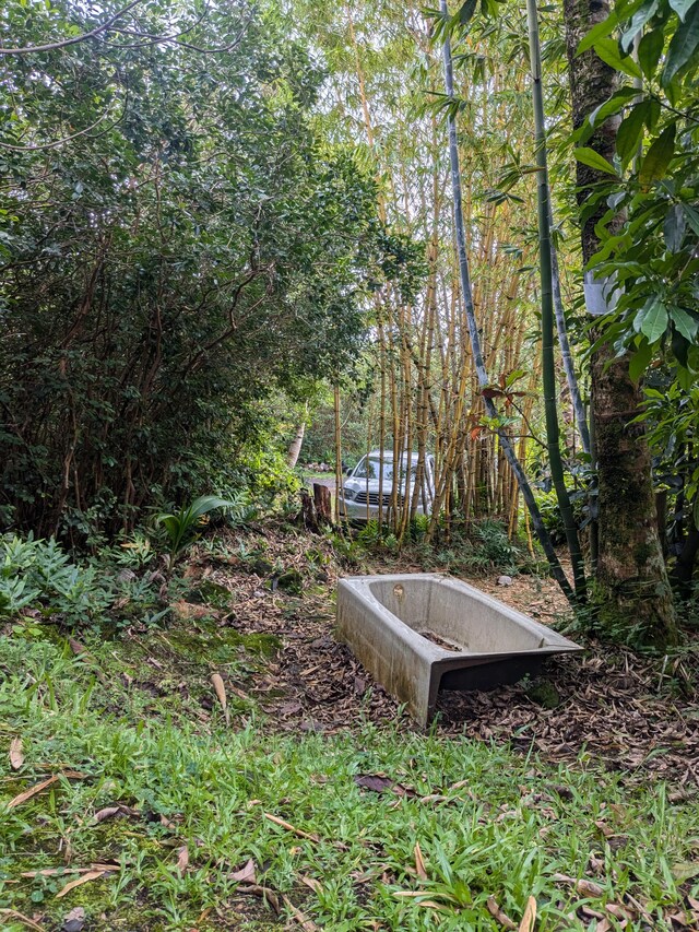 12-1114 Kaimu Makena Homestead Rd, Pahoa, HI 96778 - view of yard