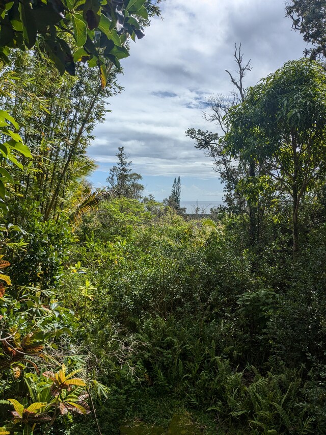 12-1114 Kaimu Makena Homestead Rd, Pahoa, HI 96778 - view of undeveloped land