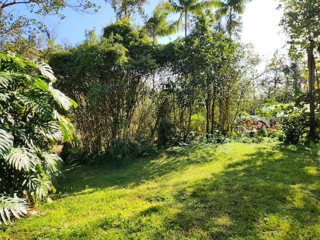 12-4318 Lanai St, Pahoa, HI 96778 - photo 22