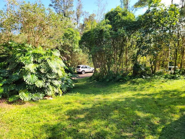 12-4318 Lanai St, Pahoa, HI 96778 - photo 23