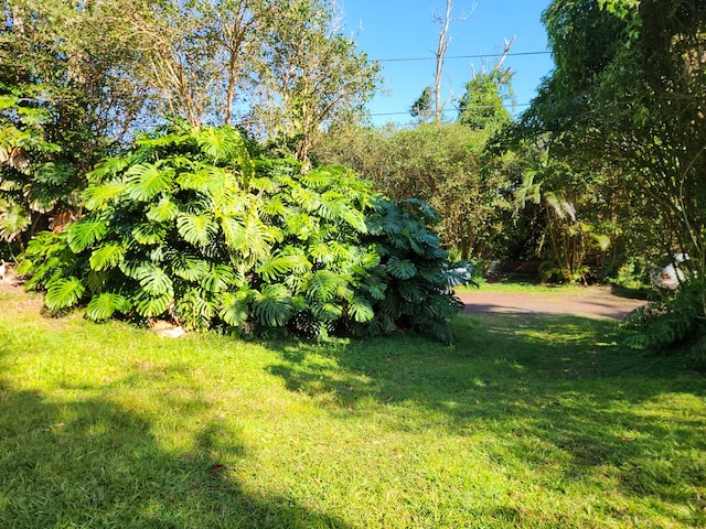 12-4318 Lanai St, Pahoa, HI 96778 - photo 24