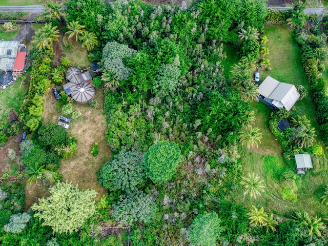 15-1452 10th Ave, Keaau, HI 96749